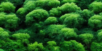西瓜能直播虚荣手游吗？