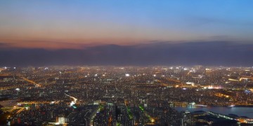 手游版异特龙吃什么饲料呢？