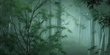 九阴手游有私服吗？