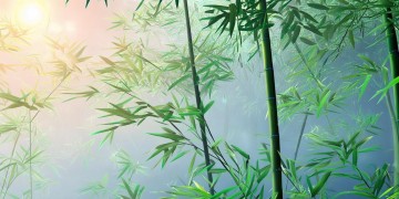 楚留香手游适合选择什么英雄呢？