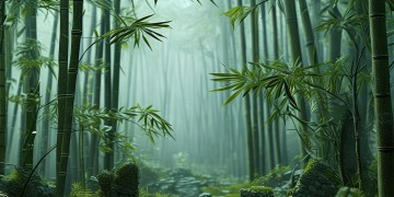 剑侠情缘手游还会返场吗？