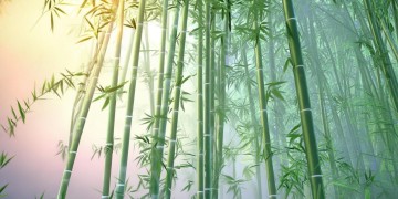 楚留香手游适合选什么英雄呢?